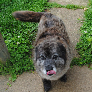 Meet your Posher, Jay